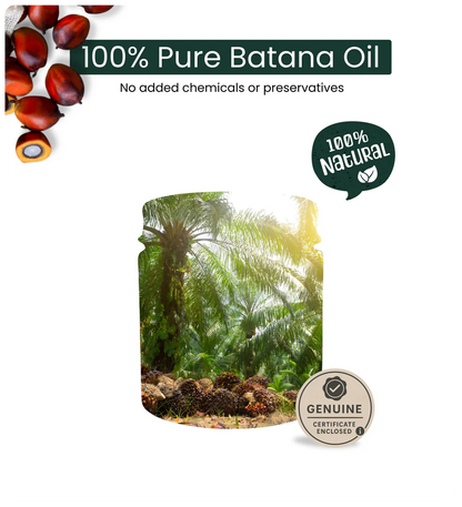PAVÉ™ Batana Natural Hair Oil