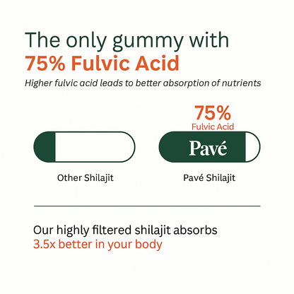 PAVÉ™ 2-in-1 Shilajit Gummies